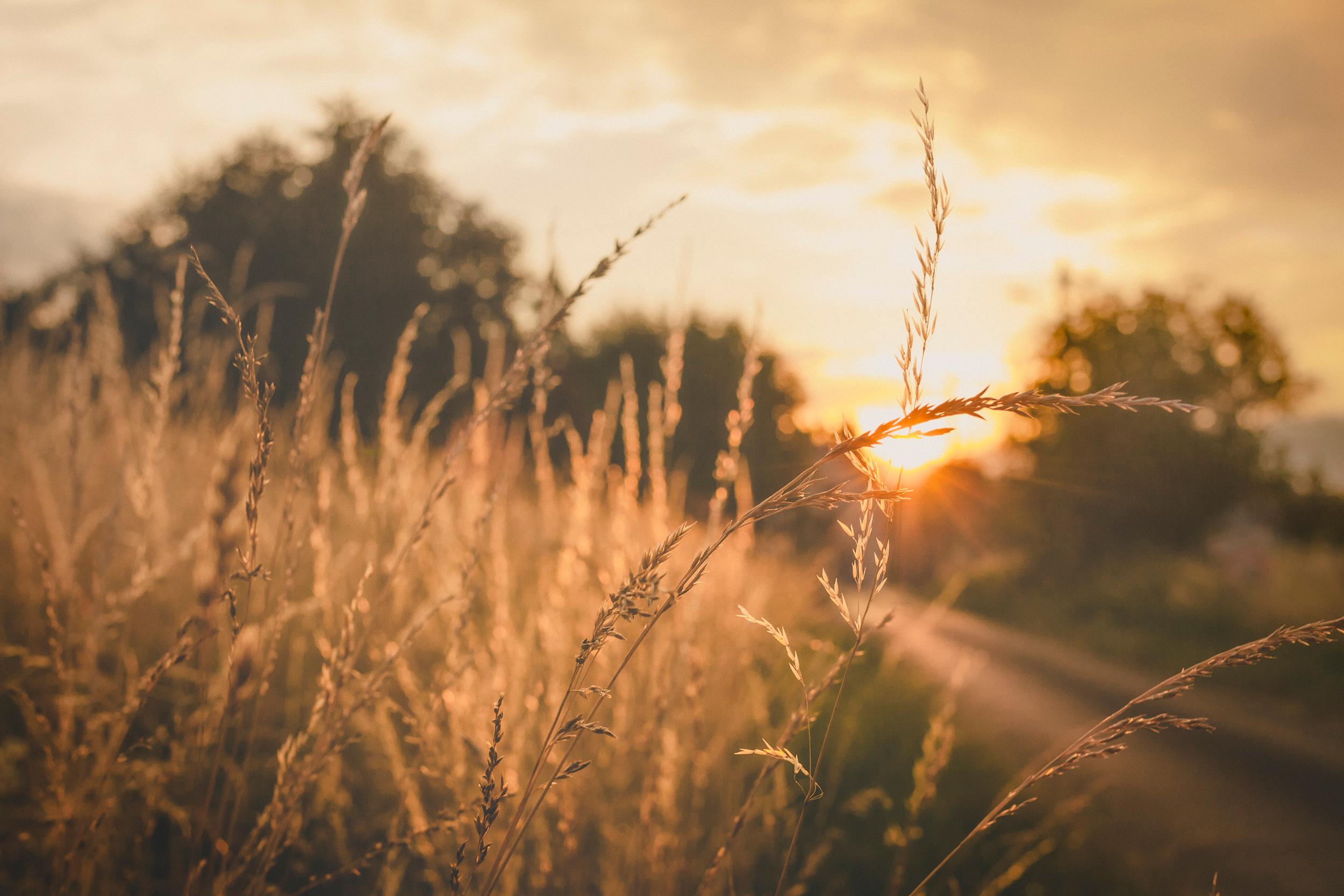 Coucher de soleil