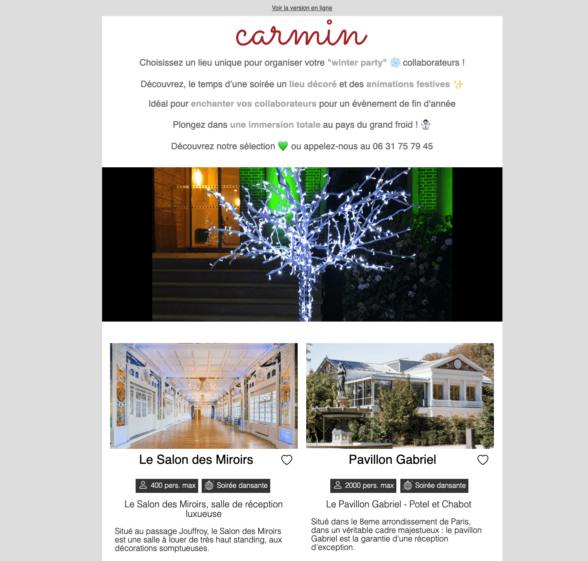 Exemple de newsletter 